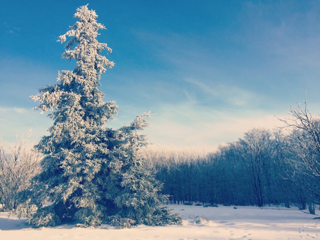 Winterlandschaft