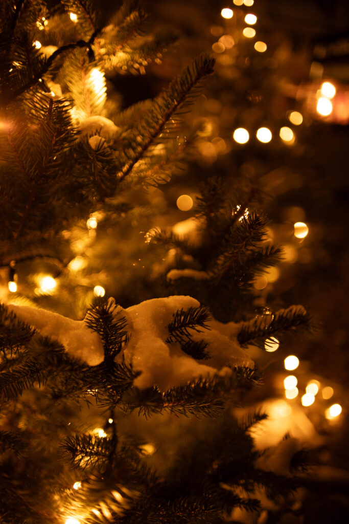 Tannenbaum mit Weihnachtslichtern und Schnee