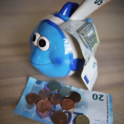 Sparschwein mit Geld