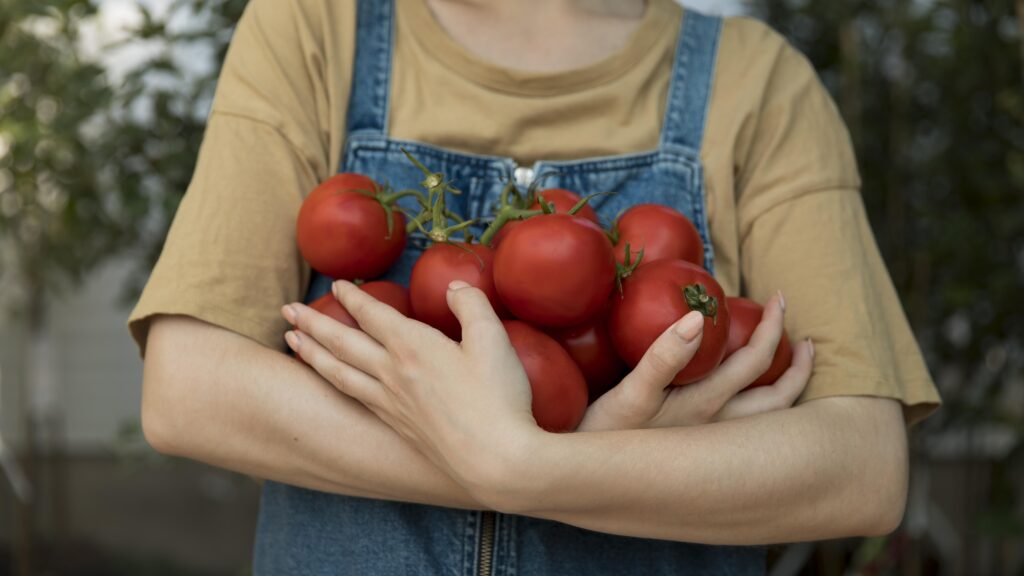 Person mit blauer Latzhose hält reife Tomaten.